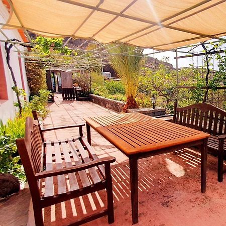 El Drago Rural House Konuk evi Alajeró Dış mekan fotoğraf