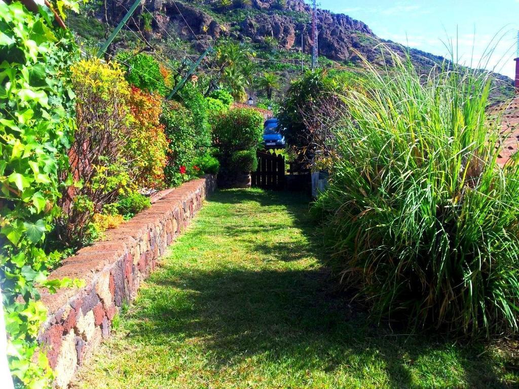 El Drago Rural House Konuk evi Alajeró Oda fotoğraf